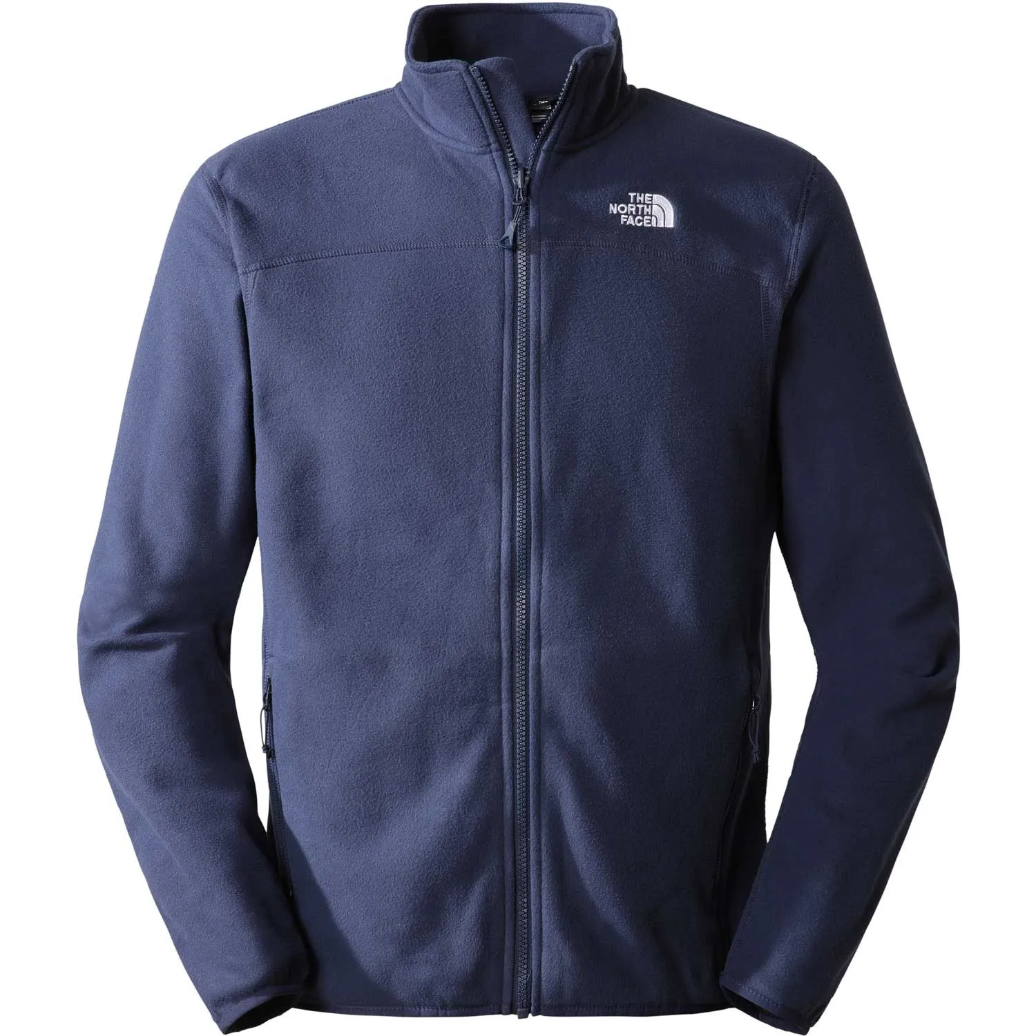 100 Glacier Fleece Jacket - Men's