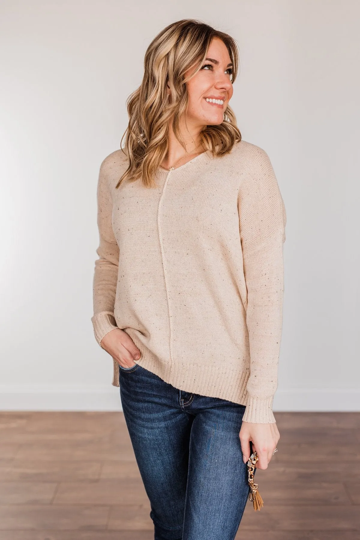 Sheer Delights Knit Sweater- Oatmeal